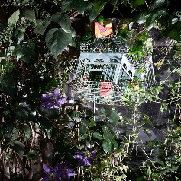 Hôtel Beauséjour Ranelagh - Le jardin